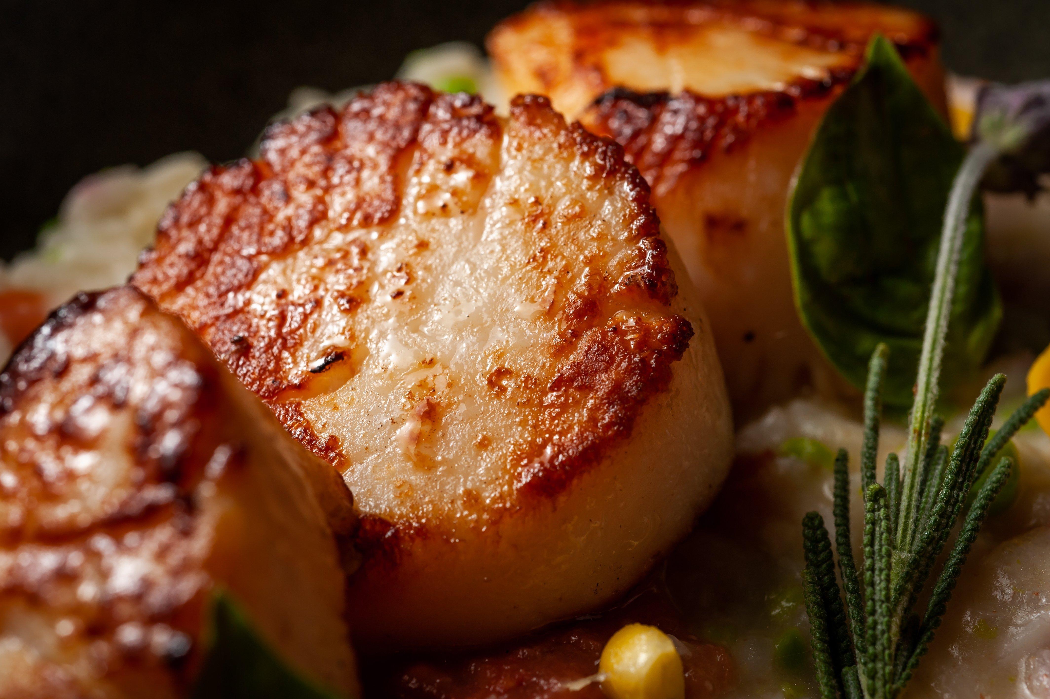 キンプトン エピック ホテル マイアミ エクステリア 写真 Pan-seared scallops